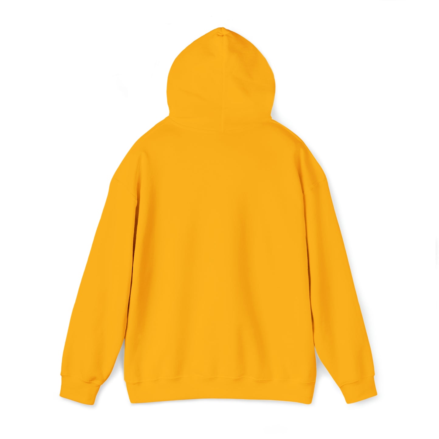 Caution May Spontaneously Start Singing Hooded Sweatshirt